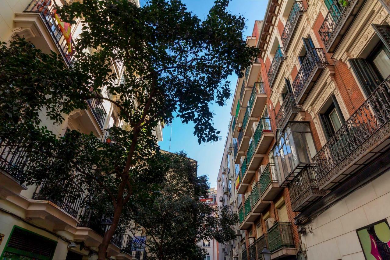 Chinchilla Apartamento Madrid