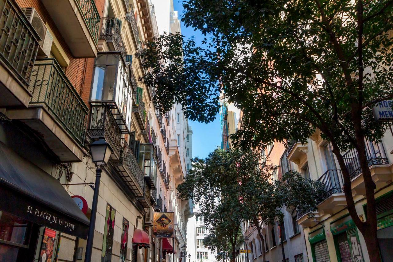 Chinchilla * Madrid